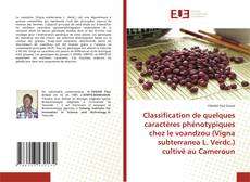 Borítókép a  Classification de quelques caractères phénotypiques chez le voandzou (Vigna subterranea L. Verdc.) cultivé au Cameroun - hoz