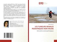 Buchcover von LES TUMEURS RENALES PEDIATRIQUES NON WILMS