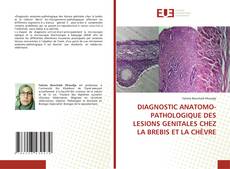 Bookcover of DIAGNOSTIC ANATOMO-PATHOLOGIQUE DES LESIONS GENITALES CHEZ LA BREBIS ET LA CHÈVRE