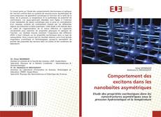 Bookcover of Comportement des excitons dans les nanoboîtes asymétriques