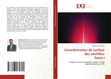 Caractérisation de surface des zéolithes Tome I的封面