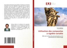 Utilisation des composites à rigidité variable的封面
