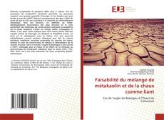 Capa do livro de Faisabilité du melange de métakaolin et de la chaux comme liant 