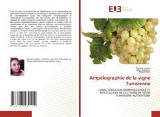 Couverture de Ampélographie de la vigne Tunisienne