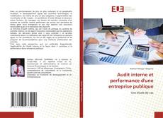 Couverture de Audit interne et performance d'une entreprise publique