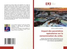 Couverture de Impact des paramètres opératoires sur la consommation du smbs.