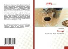 Borítókép a  Forage - hoz