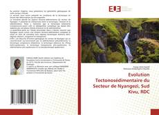 Capa do livro de Evolution Tectonosédimentaire du Secteur de Nyangezi, Sud Kivu, RDC 