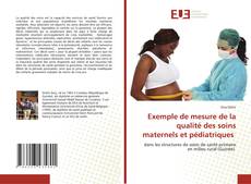 Bookcover of Exemple de mesure de la qualité des soins maternels et pédiatriques