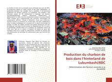 Capa do livro de Production du charbon de bois dans l’hinterland de Lubumbashi/RDC 