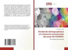 Bookcover of Dividende démographique et croissance économique des pays de l'UEMOA: