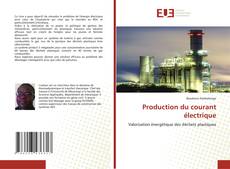 Capa do livro de Production du courant électrique 