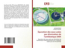 Couverture de Épuration des eaux usées par élimination de l'antibiotique SMX