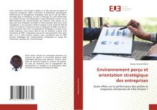 Bookcover of Environnement perçu et orientation stratégique des entreprises