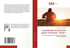 Bookcover of La protection du domaine public en Afrique - Tome 1
