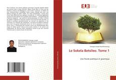 Bookcover of Le Sokela Betsileo. Tome 1