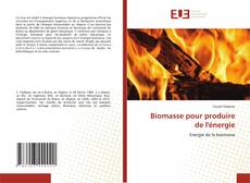 Bookcover of Biomasse pour produire de l'énergie