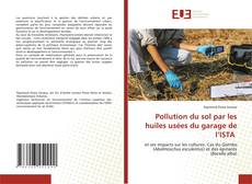 Capa do livro de Pollution du sol par les huiles usées du garage de l’ISTA 