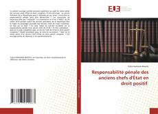 Buchcover von Responsabilité pénale des anciens chefs d'État en droit positif