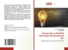 Buchcover von Analyse De La Stabilité Thermique Des Structures 2D