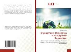 Couverture de Changements Climatiques & Stratégie des Entreprises