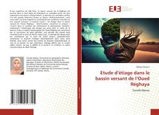 Bookcover of Etude d’étiage dans le bassin versant de l’Oued Réghaya