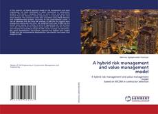 Copertina di A hybrid risk management and value management model