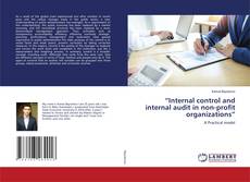 Copertina di “Internal control and internal audit in non-profit organizations”