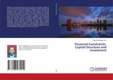 Copertina di Financial Constraints, Capital Structure and Investment