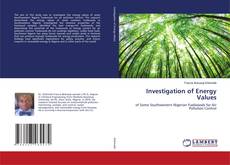 Copertina di Investigation of Energy Values