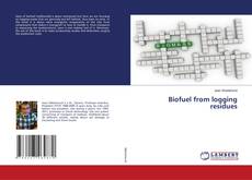 Copertina di Biofuel from logging residues
