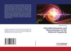 Copertina di (Toroidal) Geometry and Hierarchisation of the Material Singularity
