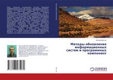 Copertina di Методы обновления информационных систем и программных компонент