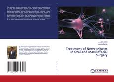 Copertina di Treatment of Nerve Injuries in Oral and Maxillofacial Surgery