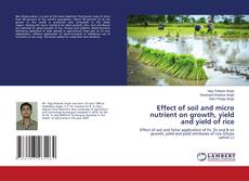 Copertina di Effect of soil and micro nutrient on growth, yield and yield of rice