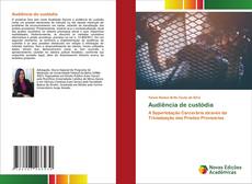 Audiência de custódia的封面