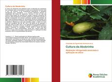 Capa do livro de Cultura da Abobrinha 