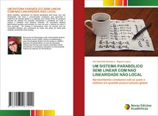 UM SISTEMA PARABÓLICO SEMI LINEAR COM NAO LINEARIDADE NÃO LOCAL kitap kapağı