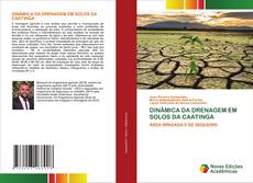 Buchcover von DINÂMICA DA DRENAGEM EM SOLOS DA CAATINGA