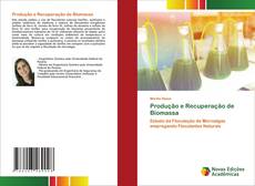 Обложка Produção e Recuperação de Biomassa