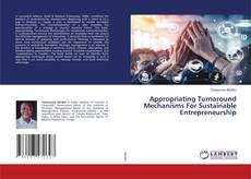 Copertina di Appropriating Turnaround Mechanisms For Sustainable Entrepreneurship