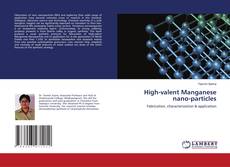 Copertina di High-valent Manganese nano-particles