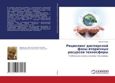 Copertina di Рециклинг дисперсной фазы вторичных ресурсов техносферы
