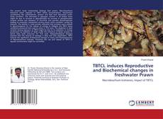 Copertina di TBTCL induces Reproductive and Biochemical changes in freshwater Prawn