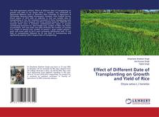 Copertina di Effect of Different Date of Transplanting on Growth and Yield of Rice