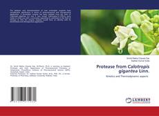 Copertina di Protease from Calotropis gigantea Linn.