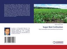 Copertina di Sugar Beet Cultivation