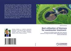 Copertina di Best utilization of biomass for wastewater treatment