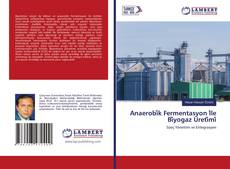 Copertina di Anaerobi̇k Fermentasyon İle Bi̇yogaz Üreti̇mi̇
