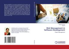 Copertina di Risk Management in Software Development